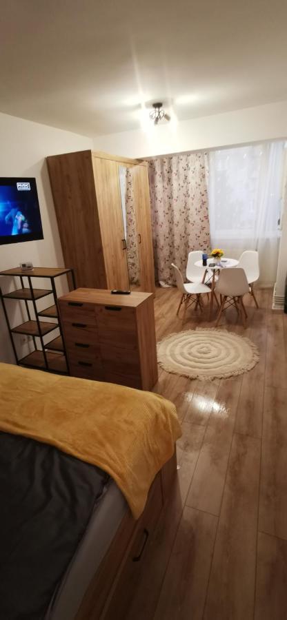 Ana Studio Apartment Targu Mures Luaran gambar